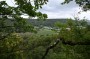 Thumbs/tn_Vakantie 2023 023.jpg